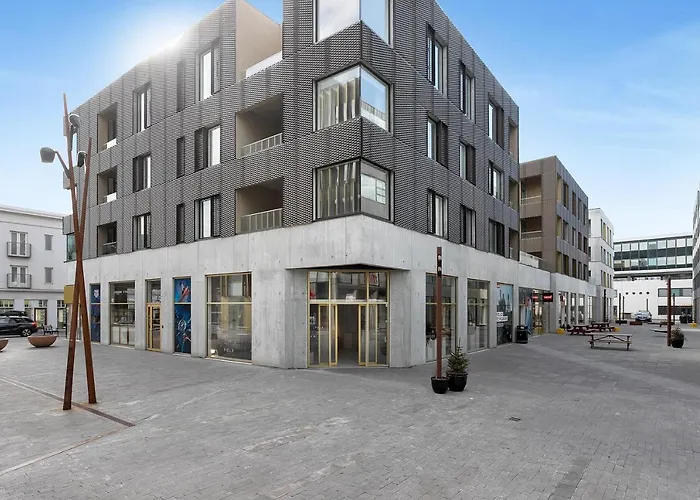 Modern Apt in Central Reykjavík